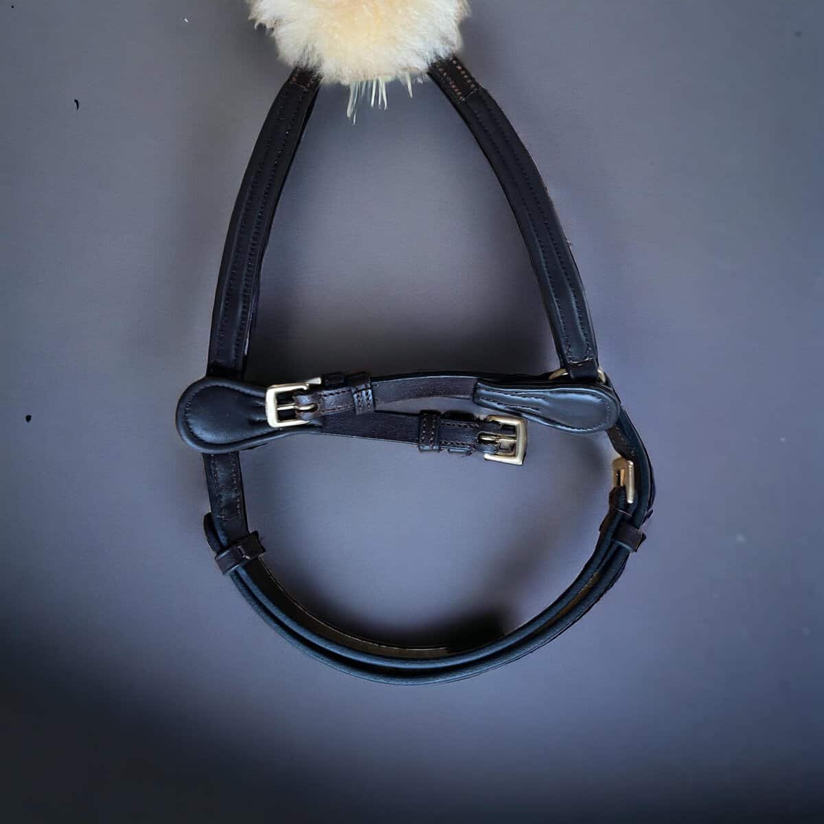 pullar-nosgrimma-eponia-equestrian-sport